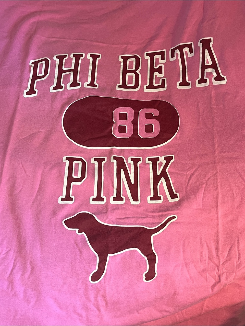 Pink Victoria’s Secret HTF Phi Beta Pink dog logo lightweight stadium blanket